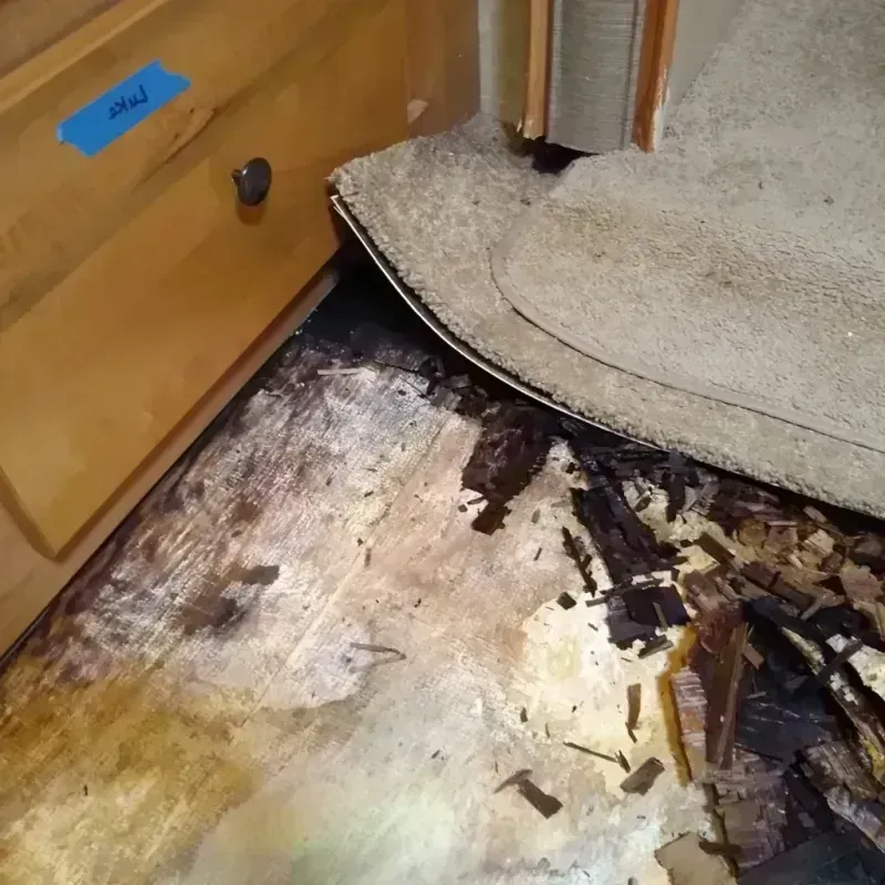 Wood Floor Water Damage in Wellton, AZ